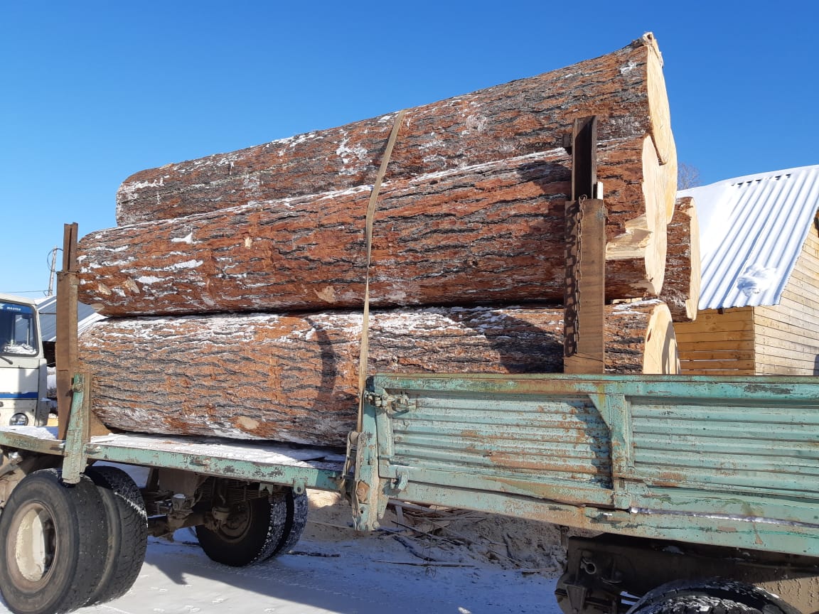 木材輸入事業